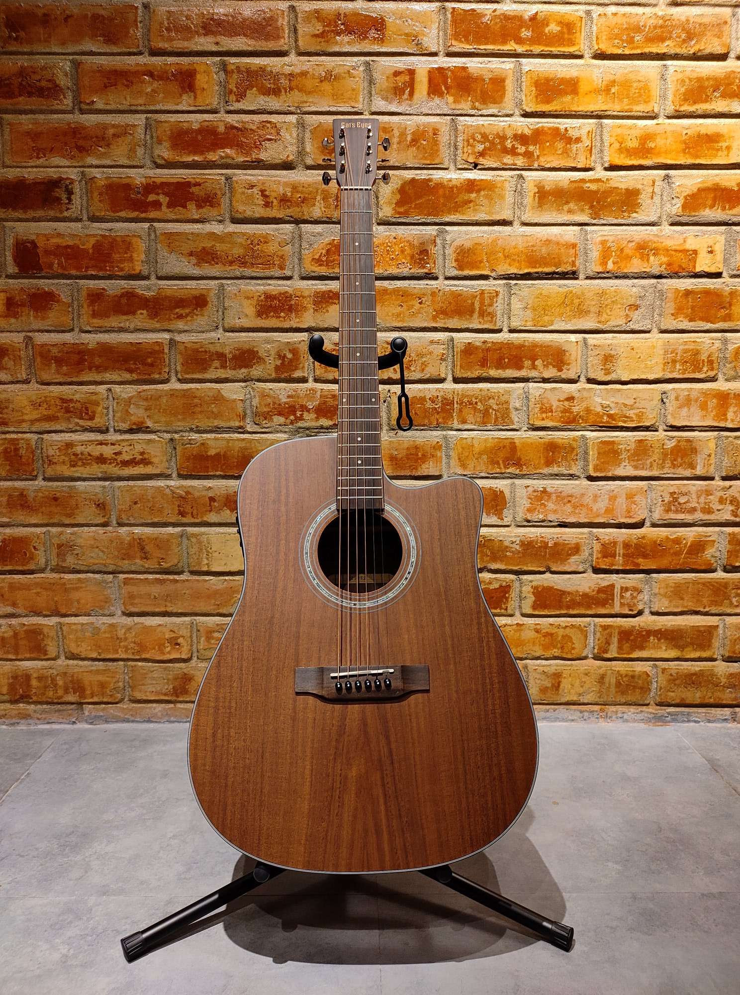 Acoustic/Electric Dreadnought Guitars